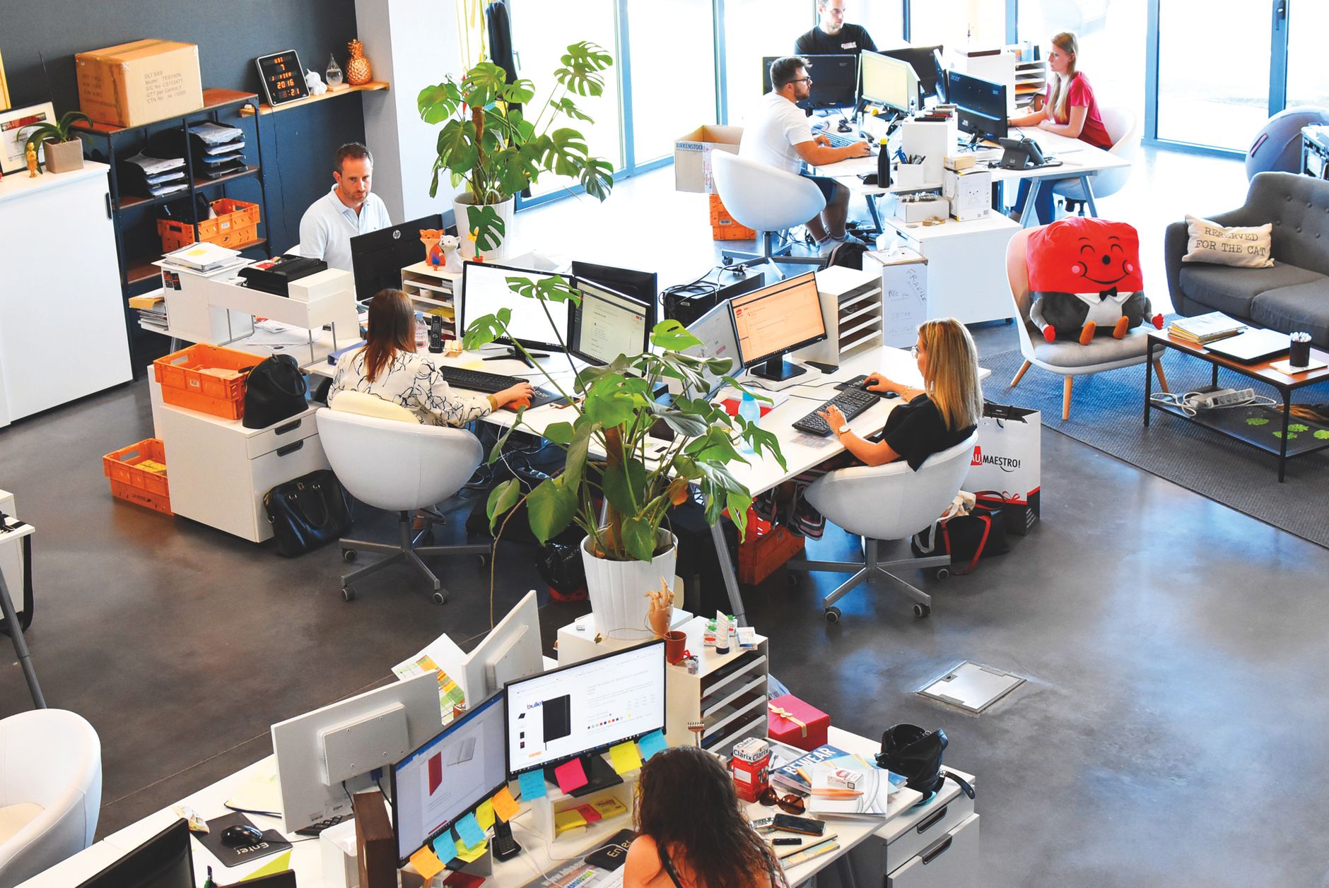 Culture d'entreprise : un levier stratégique pour la performance